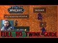 How to Become POWERFUL 110 TWINK in BFA in 21 STEPS! [EASY Guide That WORKS]