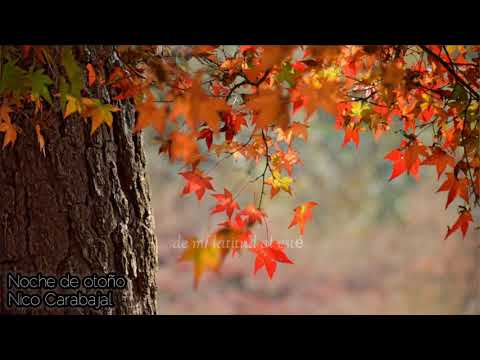 Nico Carabajal - Noche de otoño