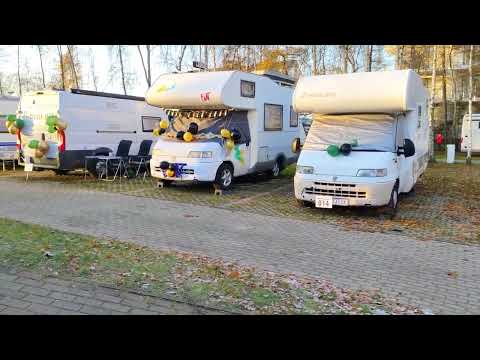 Bajeczny Camping pod Brzozami