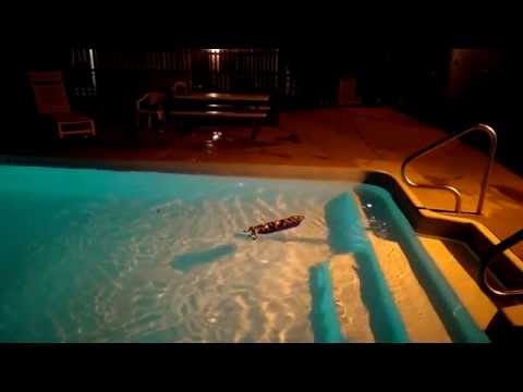 Technical LEGO: Triton, a very fast triple-screw speedboat -- night pool trial 1/2