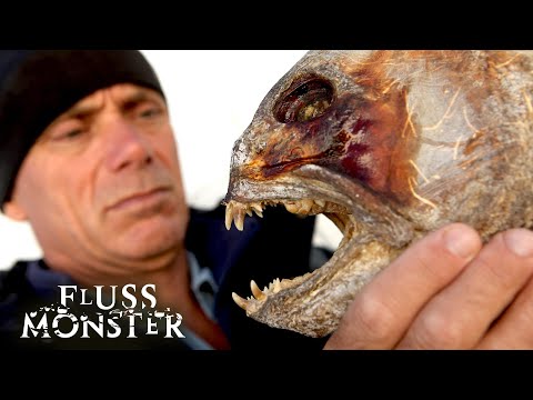 Die Legende von Loch Ness: Wird Jeremy die große Legende entdecken? | S5 E05 | Fluss Monster