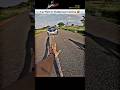 @bikerboyzahir Road Cross ❌ Gone wrong 😭#gonewrong #bike #rider #shorts #youtubeshorts #vlog #car