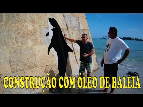 download lagu mp3 mp4 Olho De Baleia, download lagu Olho De Baleia gratis, unduh video klip Olho De Baleia