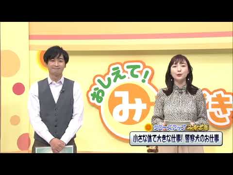 2023年3月11日(土)放送 「小さな体で大きな仕事！警察犬のお仕事」