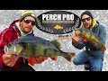 Perch Pro 2018 - EPISODE 3 - with French, German & Russian subtitles