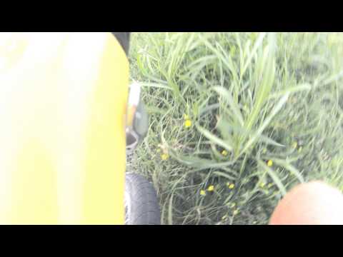 Camion in sorpasso Radiobici fuori strada a Trevenzuolo