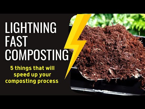How To Speed Up The Composting Process | Organic Gardening Tips For Beginners