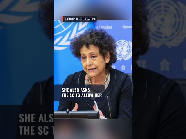 UN rapporteur seeks to provide insights on Maria Ressa’s pending libel case