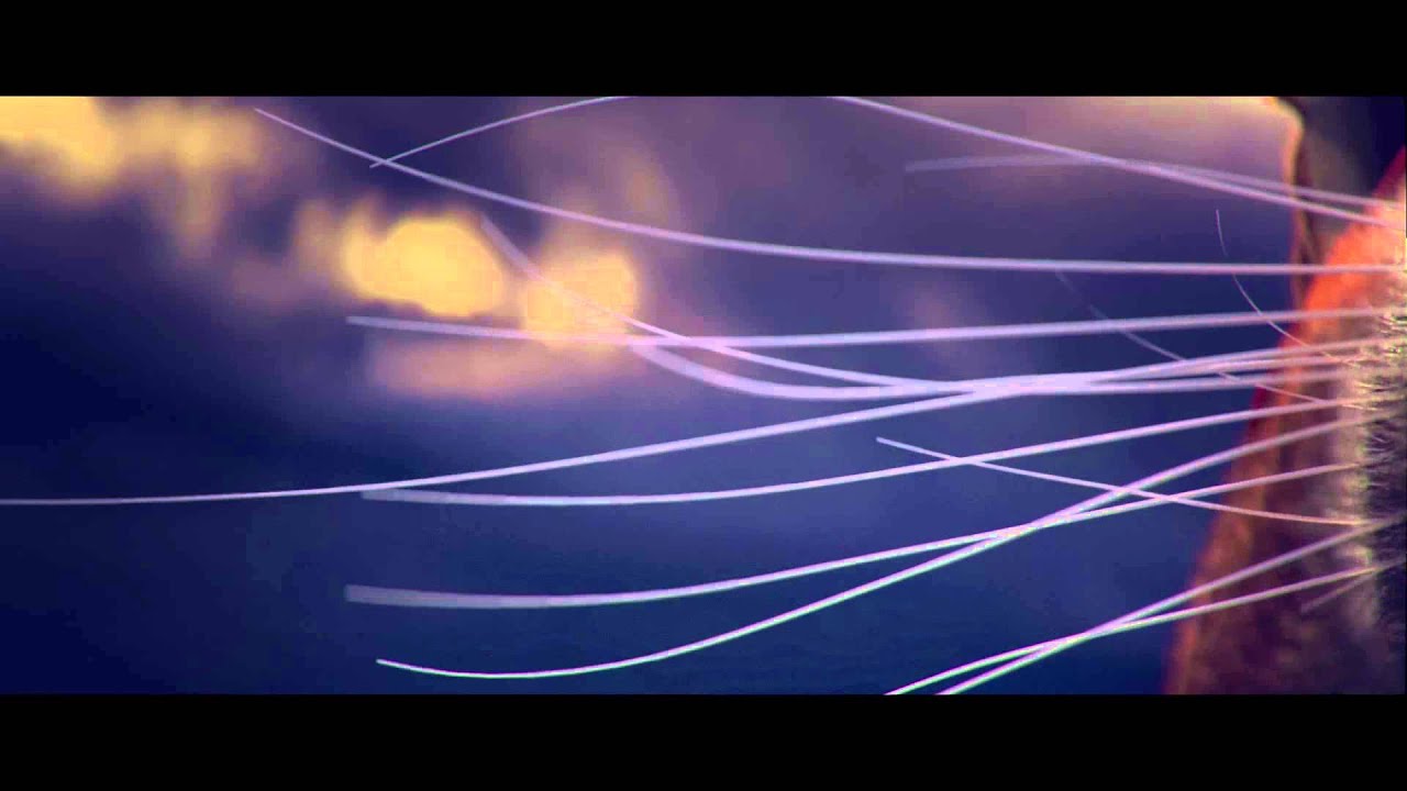 E3 Announcement Trailer