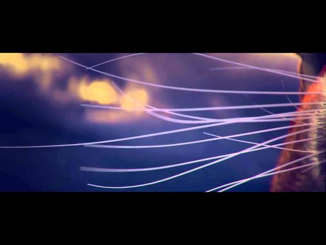 Video - Trials Fusion: The Awesome Max Edition Game Edition (PC)