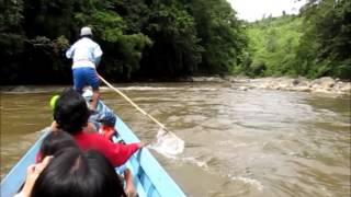 preview picture of video 'Nyarok 2014 : Goodbye Suruh Engkadok, Sekayam River, Kalimantan Barat'