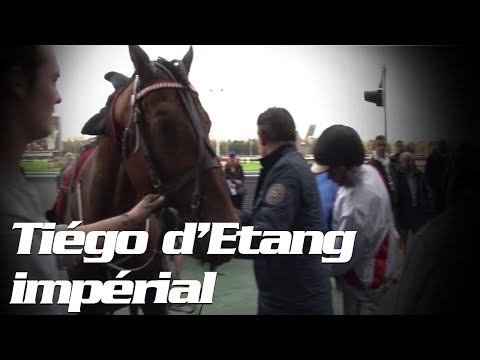 Prix de  Bretagne  2014 : Tiégo d’Etang impérial