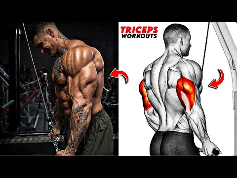Unlock Horseshoe Triceps ⚡ 8 Heavy & Isolation Moves for Sleeve-Stretching Arms