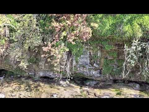 #vindhya range#viral_videoes#naturalbeauty#explorepage