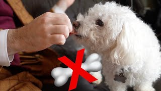 My Dog Reacts to the Invisible Treat Challenge!
