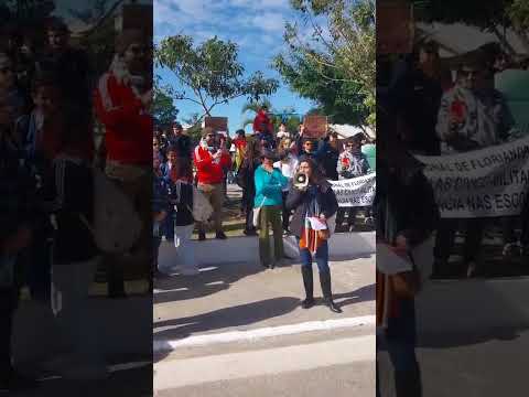 Santa Catarina Também tem fascistas  #princesa#entretenimiento #facism #nazista #homofobia