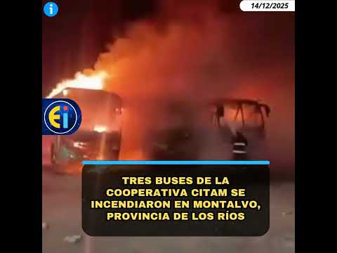 🚨 Tres buses de la Cooperativa CITAM se incendiaron en Montalvo, provincia de Los Ríos.