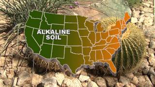 Star Nursery Dr Q Alkaline Soils
