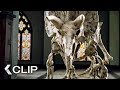 Playing Fetch With A Triceratops NIGHT AT THE MUSEUM 3 Movie Clip 2014