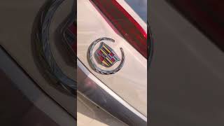 Video Thumb