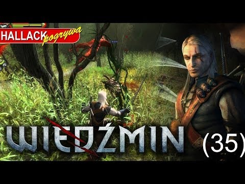 Jaskinia na bagnach - Wiedźmin