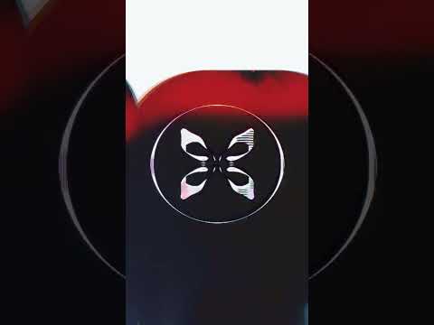 DJ Pet Centre - Dusk