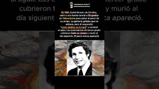 Saltó al agua hirviendo para salvar un perro #viral #datosreales