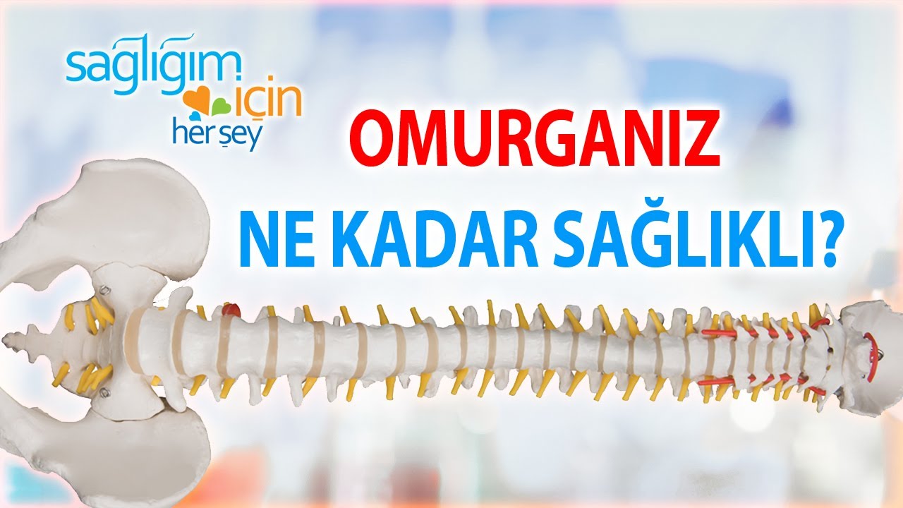Sağlıklı Bir Omurga Nasıl Olmalı?