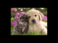 Positive Psychology What Makes You Happy