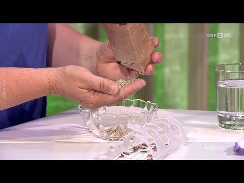 Marianne Jäger - Lebensmittelmotten