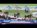 SOWETO TV NEWS TURFFONTEIN RACECOURSE HOSTS THE 2023 BETWAY SUMMER CUP HORSE RACE