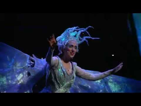 ZED Cirque Du Soleil (short version)