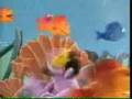Sesame Street The Count S Vacation