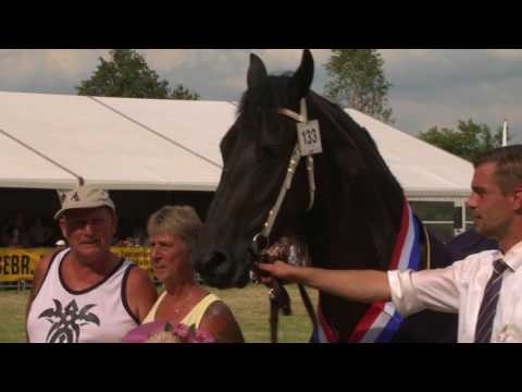 Fokdagkampioen  Ta it Bihald