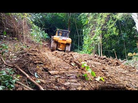 D6R XL Bulldozer Mastery Pioneers a New Path in the Mountains!