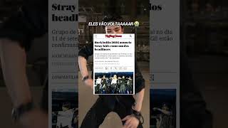 STRAY KIDS NO BRASIL EM 2026!!! #straykids #rockinrio