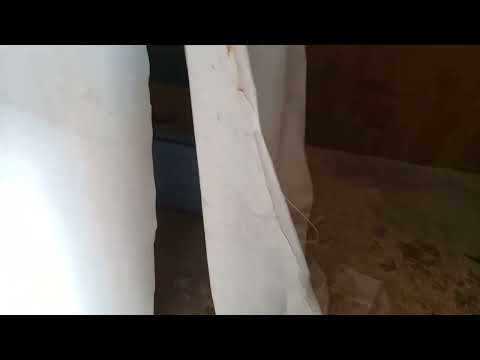 Nesting box curtains before