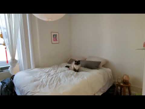 video 1
