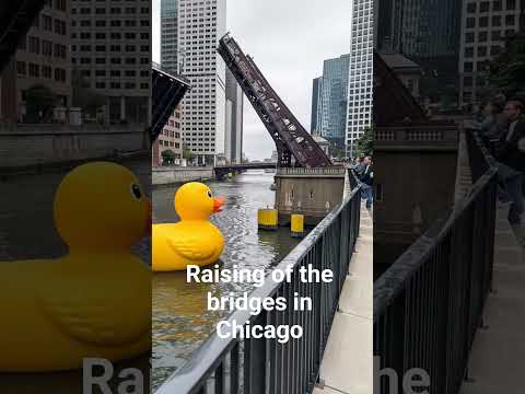 Did they raise the bridges in Chicago for this? #chicago #aivideo #notreal