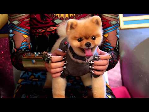 download lagu mp3 mp4 Katy Perry Dark Horse Actors, download lagu Katy Perry Dark Horse Actors gratis, unduh video klip Katy Perry Dark Horse Actors