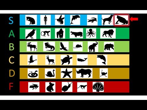 Are all amphibians low tier? [SECRET TOP TIER]