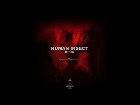 Human Insect - Gayoth (Remastered 2020)