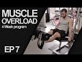 MUSCLE OVERLOAD/LEGS, CALFS, TRAPS & FOREARMS Ep 7 (4 Week Program)