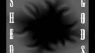 Shed Gods - Rats In A Maze