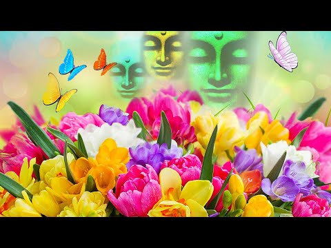 Flower Power | Relaxing Zen Music | Meditation | Calm Music | Stress Relief | Positive Affirmations