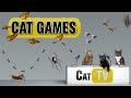 Cat Games Ultimate Cat TV Bugs And Butterflies Compilation Vol 2 Videos For Cats To Watch