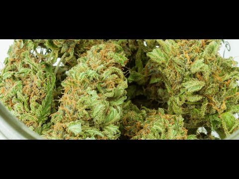 Medical Cannabis in the UK: From principle to practice - Dr Anne Katrin Schlag