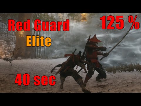 Less than 1min - Redguard Elite Fast Kill [SR] 40s