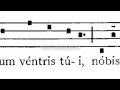 Salve Regina 