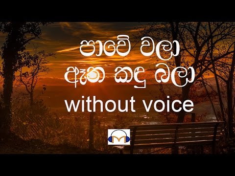 Pawe Wala Karaoke (without voice) පාවේ වලා ඈත කඳු බලා
